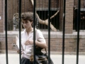 Cat People (1982)
