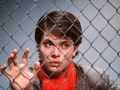 Cat People (1982)